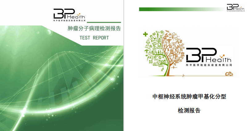 报告展示.png