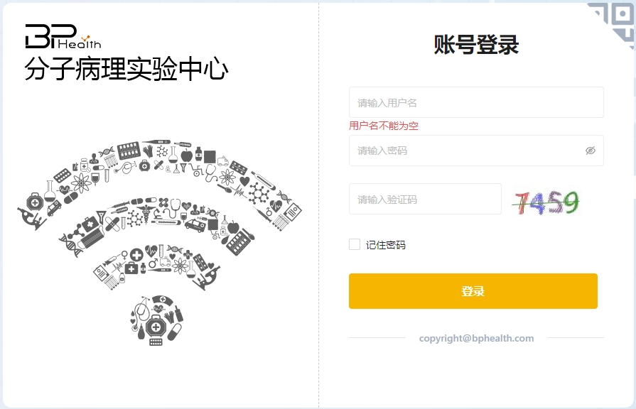 全自动生信分析与报告系统