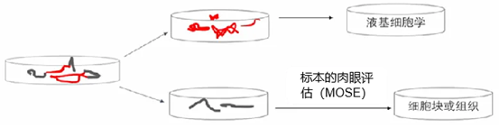 图片11.png