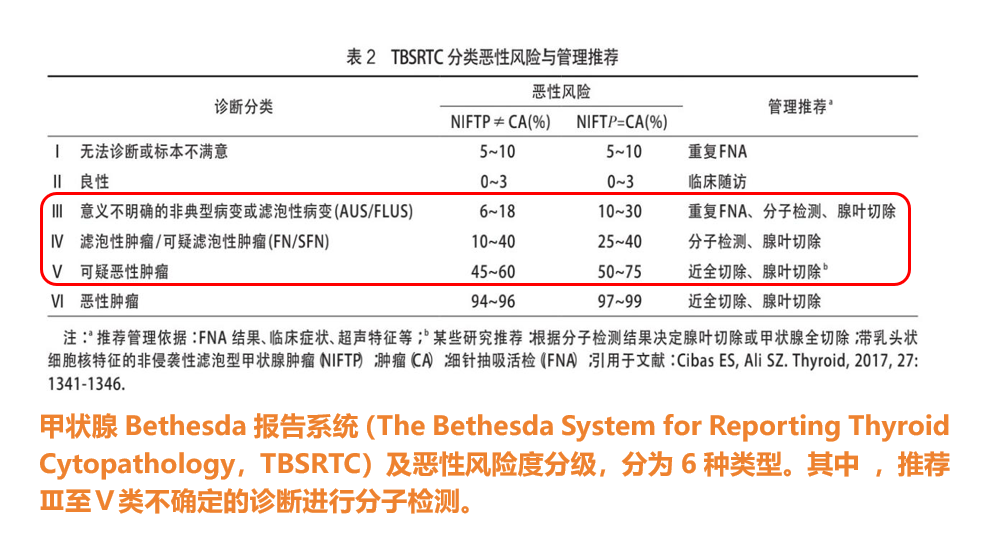 TBSRTC分类恶性风险与管理推荐