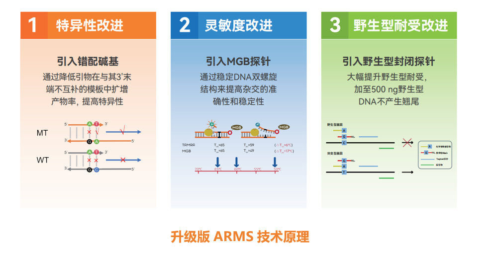 升级版ARMS技术原理