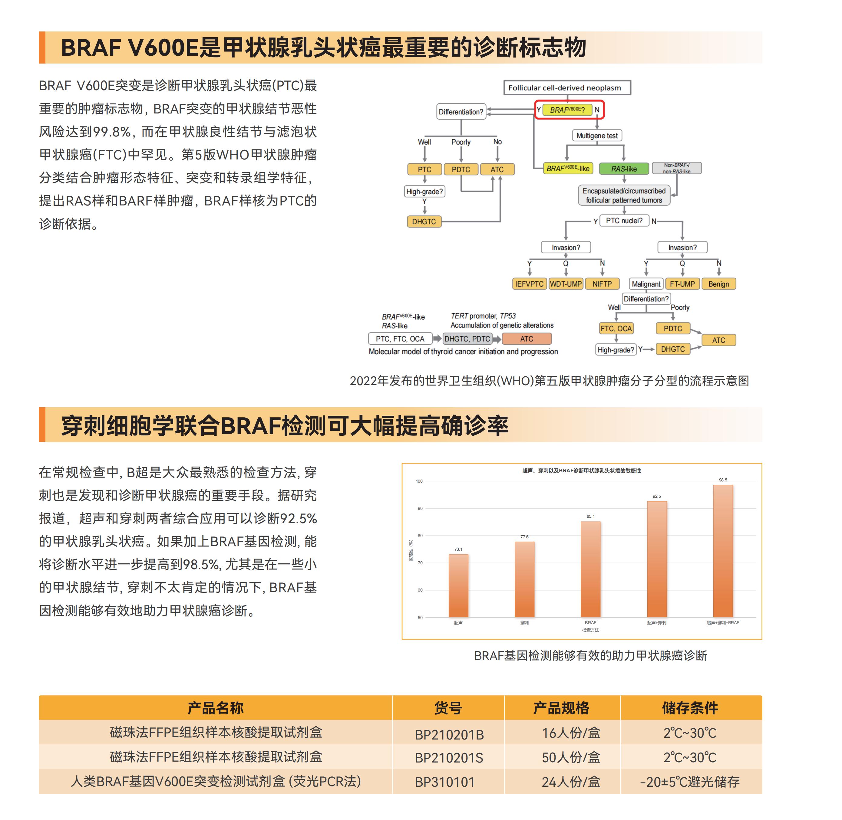 3官网调整250424-布平（中文）(3)_03.jpg