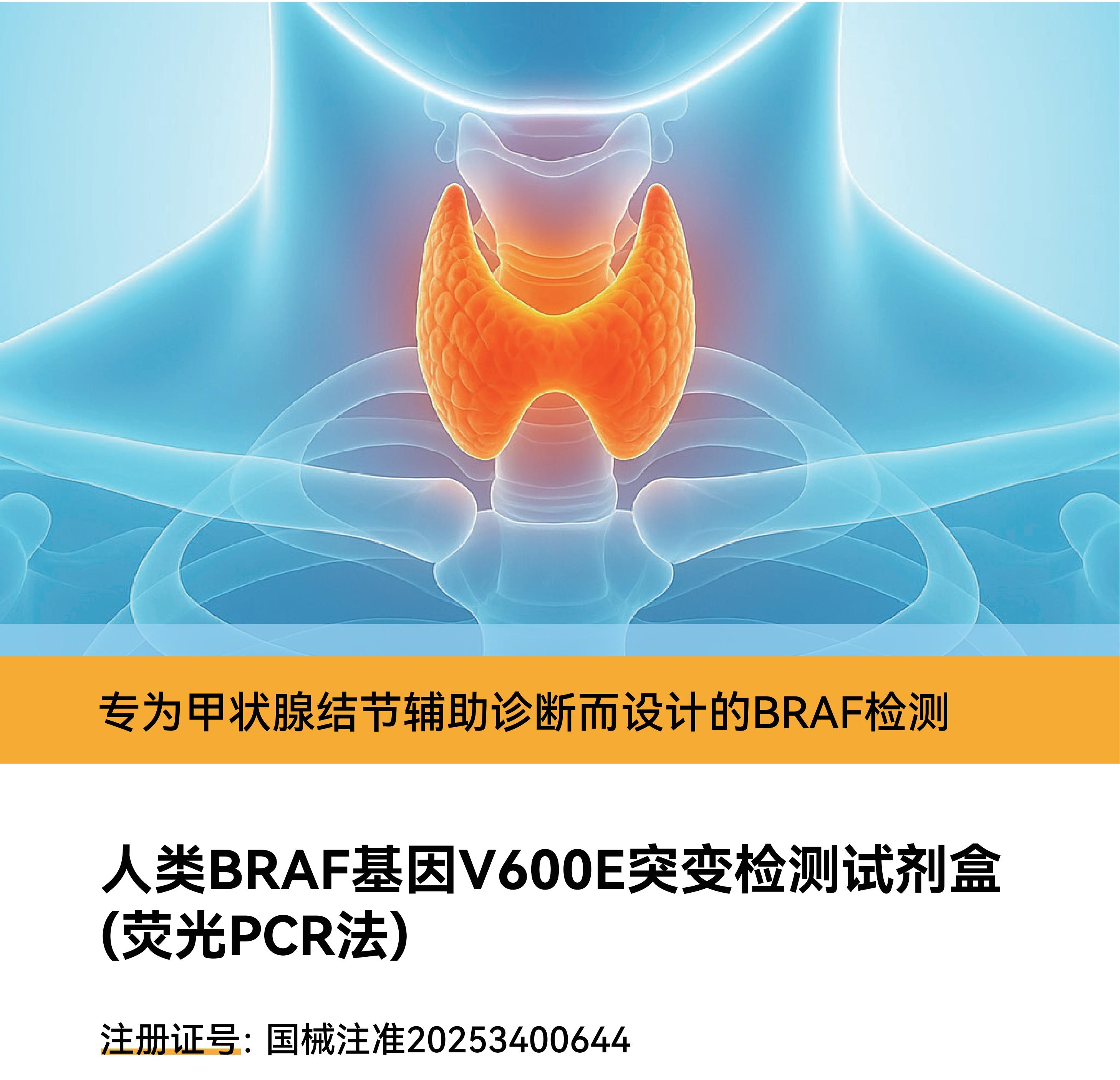3官网调整250424-布平（中文）(3)_00(1).jpg
